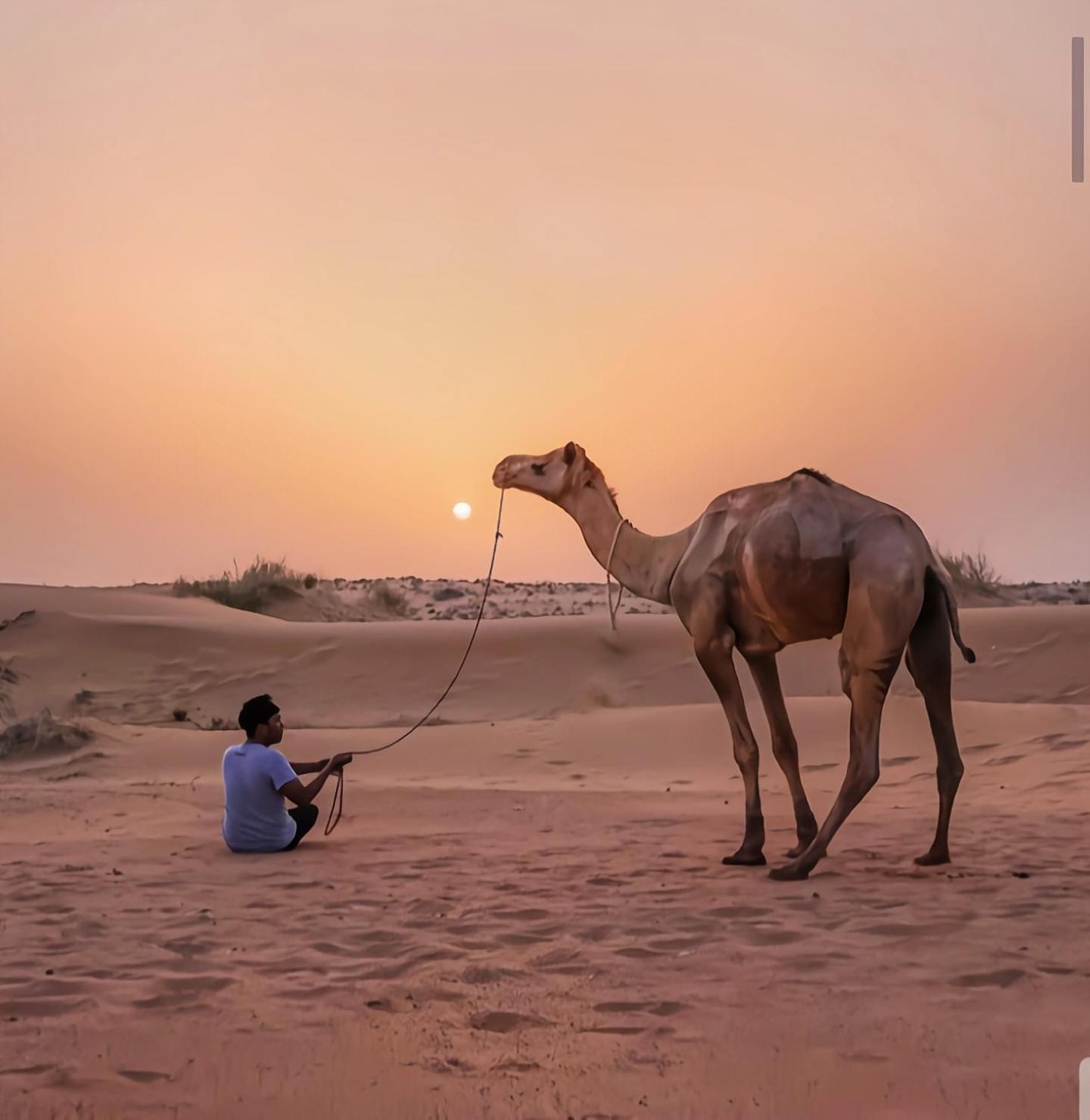 The Saffron Desert Camp Jaisalmer Exterior foto